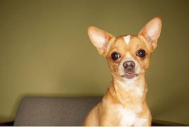 《最终幻想7：重生》包含大量LGBTQ+角色 随处可见